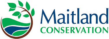 maitland-valley-conservation-authority-logo