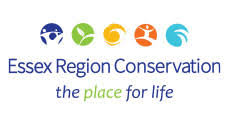 essex-region-conservation-authority-logo